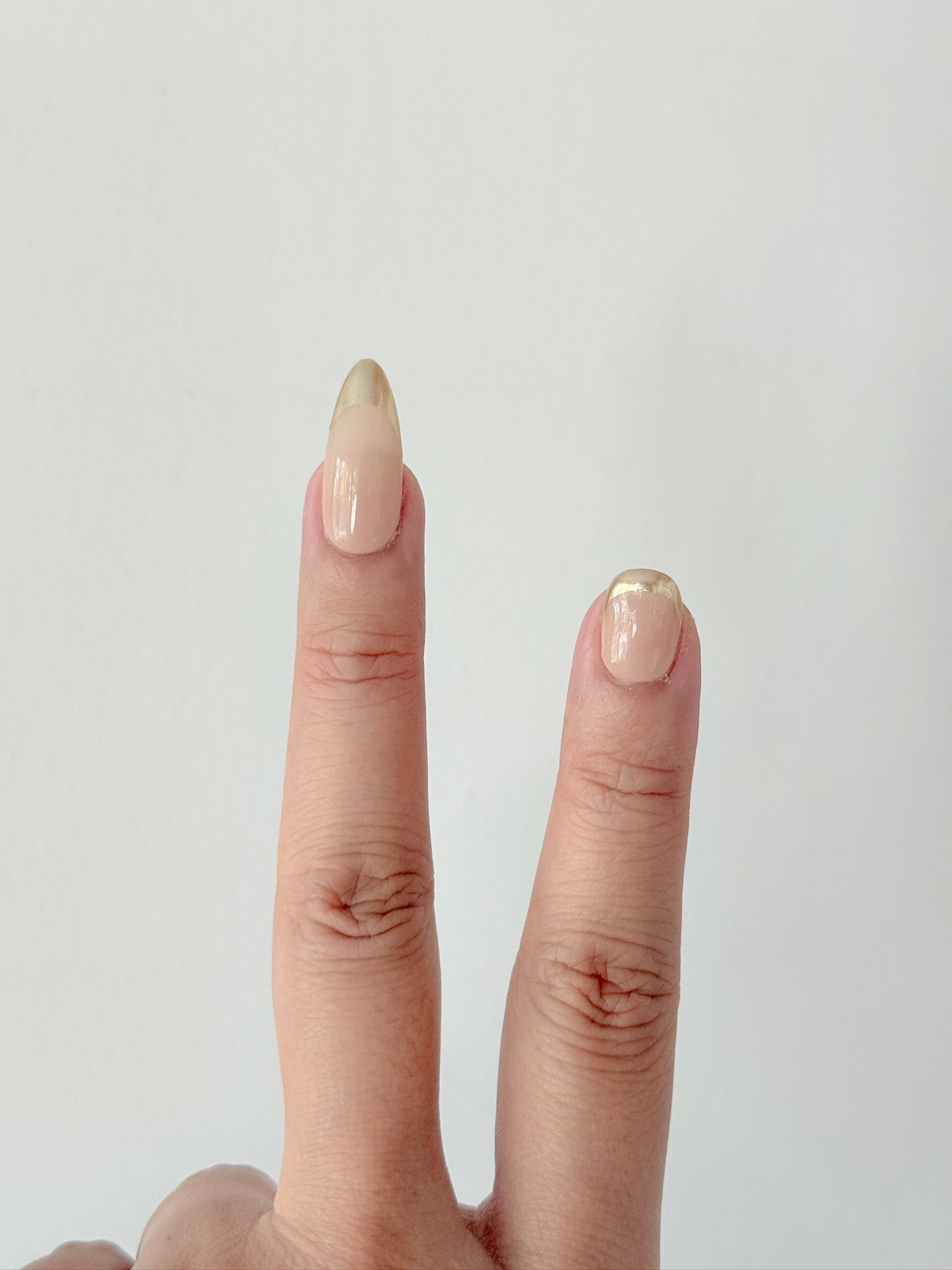 Golden Glimmer